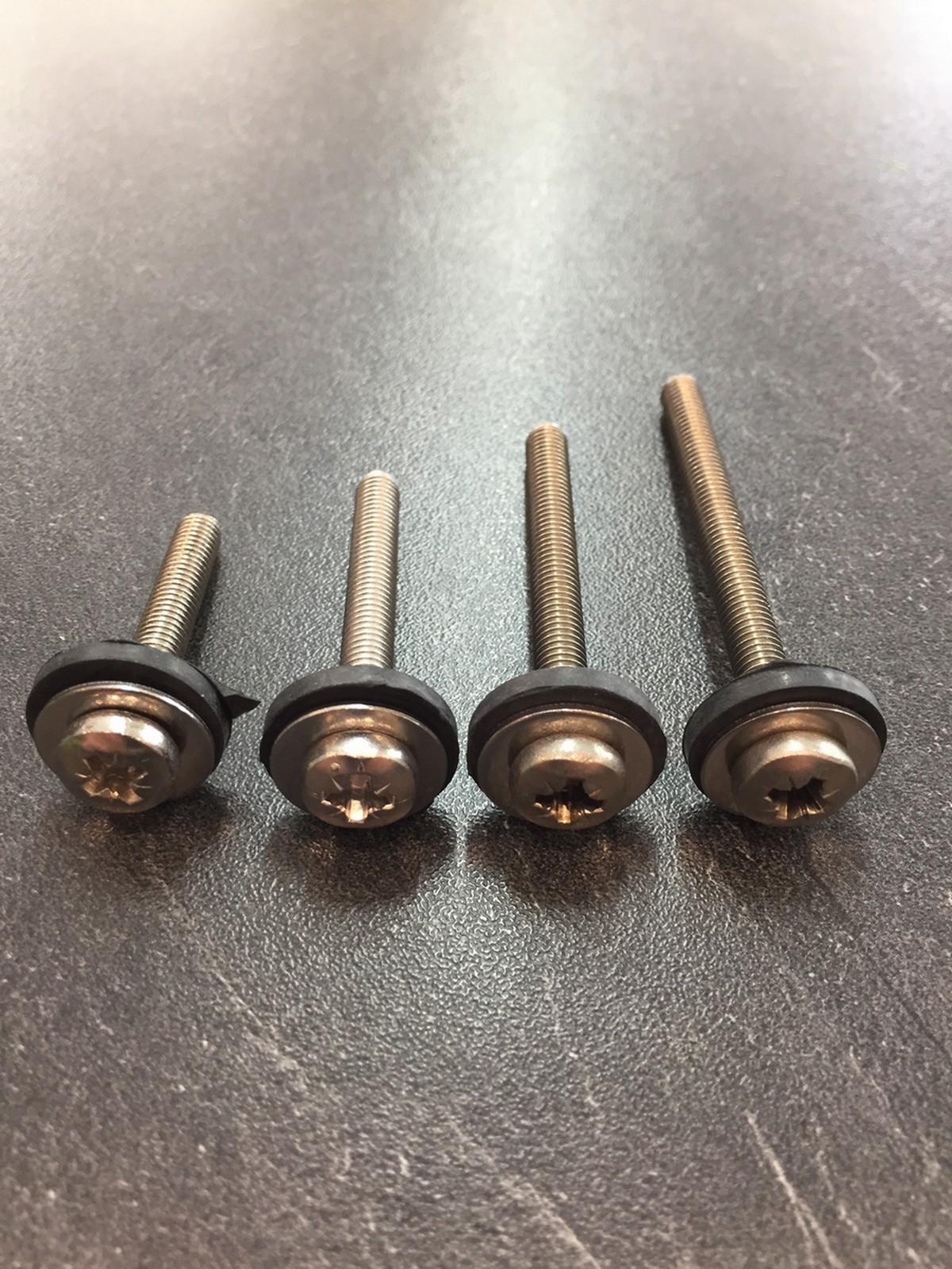 1 VIS INOX A4 Ø6 + RONDELLES